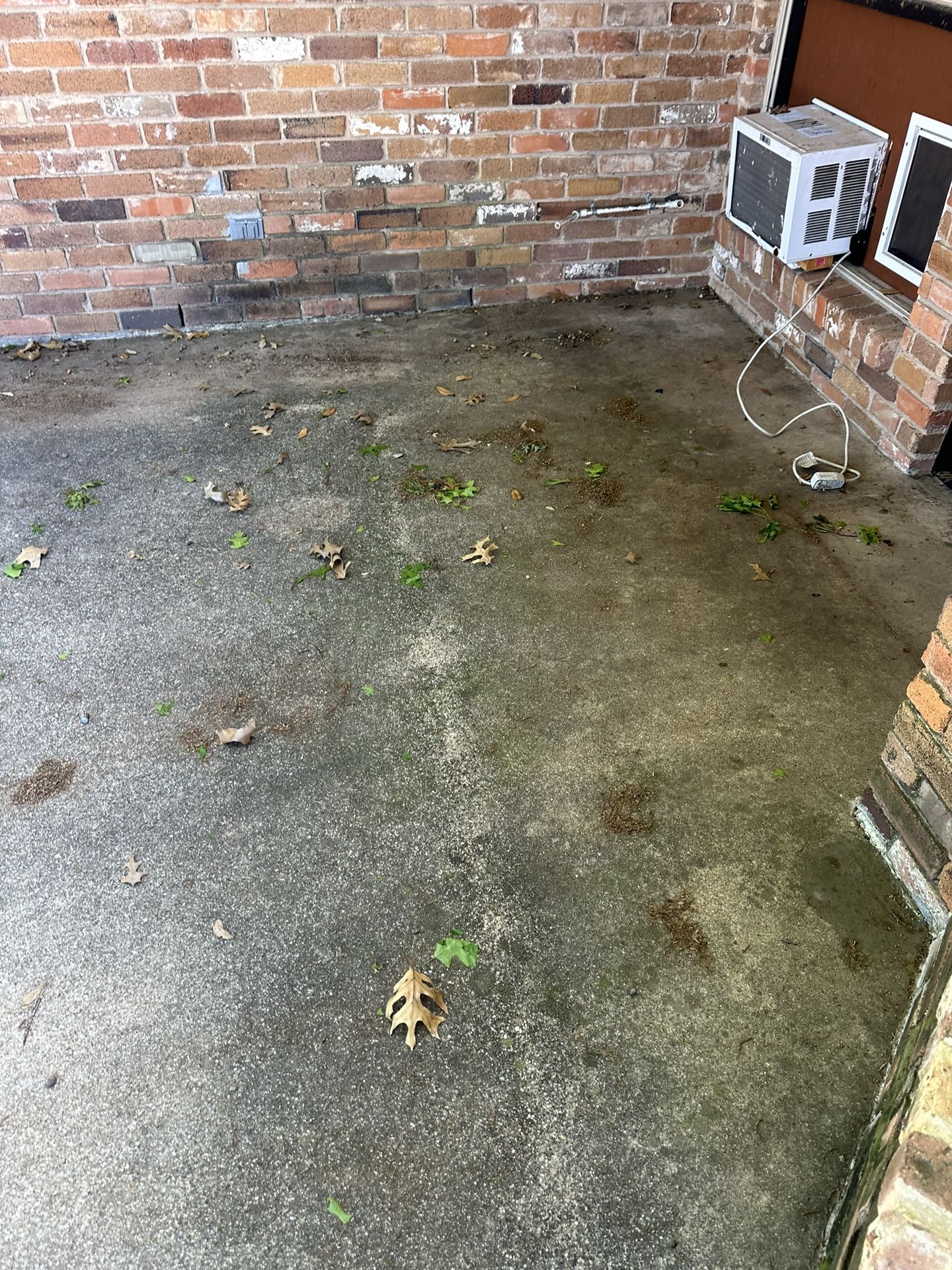 Patio & Driveway Cleaning