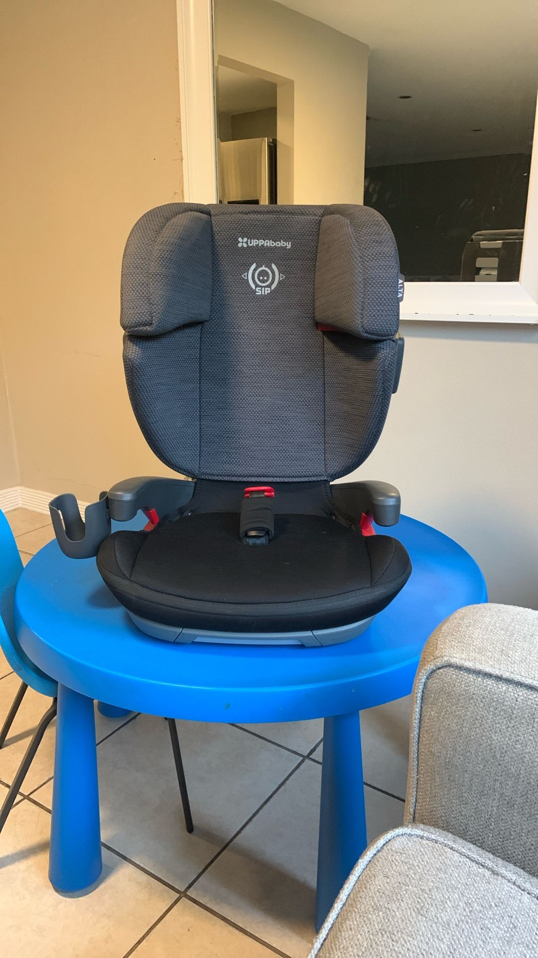UPPAbaby High Back Car Seat/booster