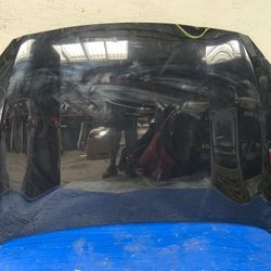 2020-21 Hood Kia Forte