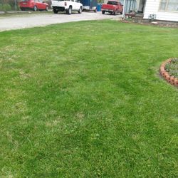 Cut Grass 