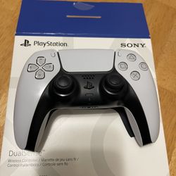 PS5 Controller
