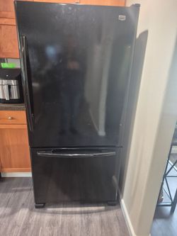 Free fridge