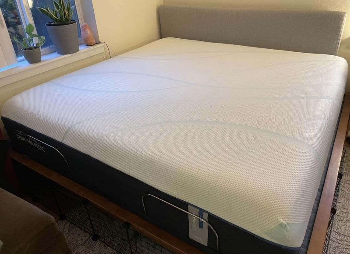 King Tempurpedic luxeadapt Soft