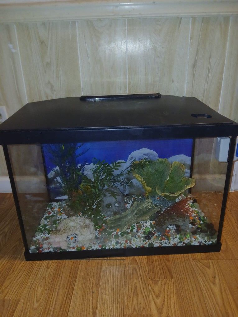 Fish Tank