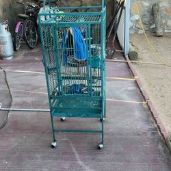 Parrot Cage