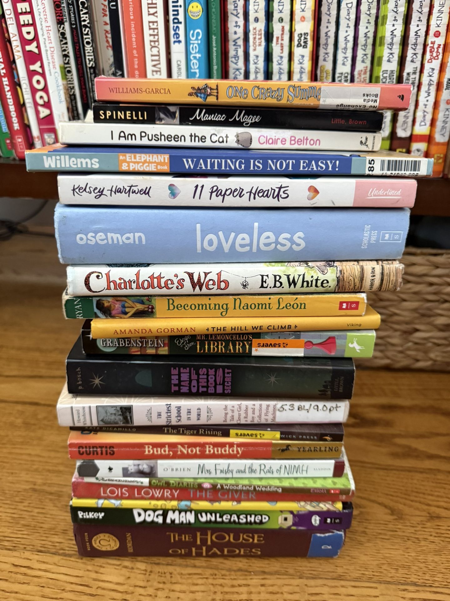 Chapter kids Books Lot (20)