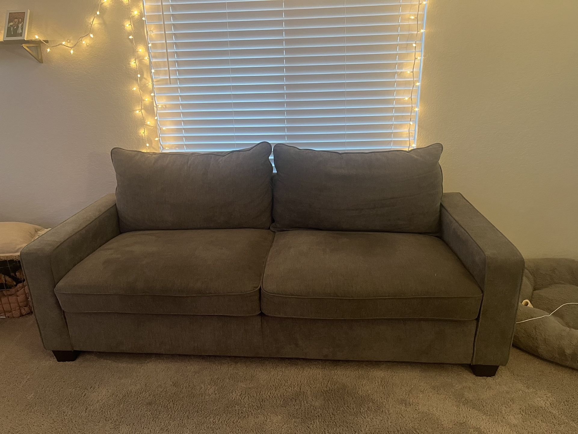 Living Spaces Couch