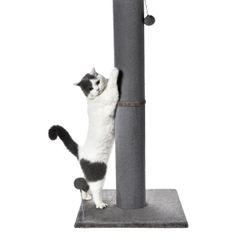 41” Cat Scratching Post