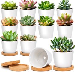 T4U 2.5 Inch Small White Succulent Planter Pots with Bamboo Tray Round Set of 12, Ceramic Succulent Air Plant Flower Pots Cactus Faux Plants Container