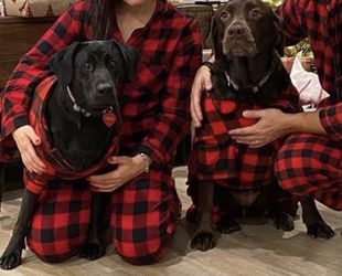 Christmas Pijamas for dogs