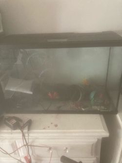 Small fish tank