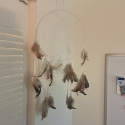 Dream Catcher