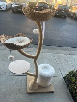 Multi-Level Cat Tree & Scratching Post