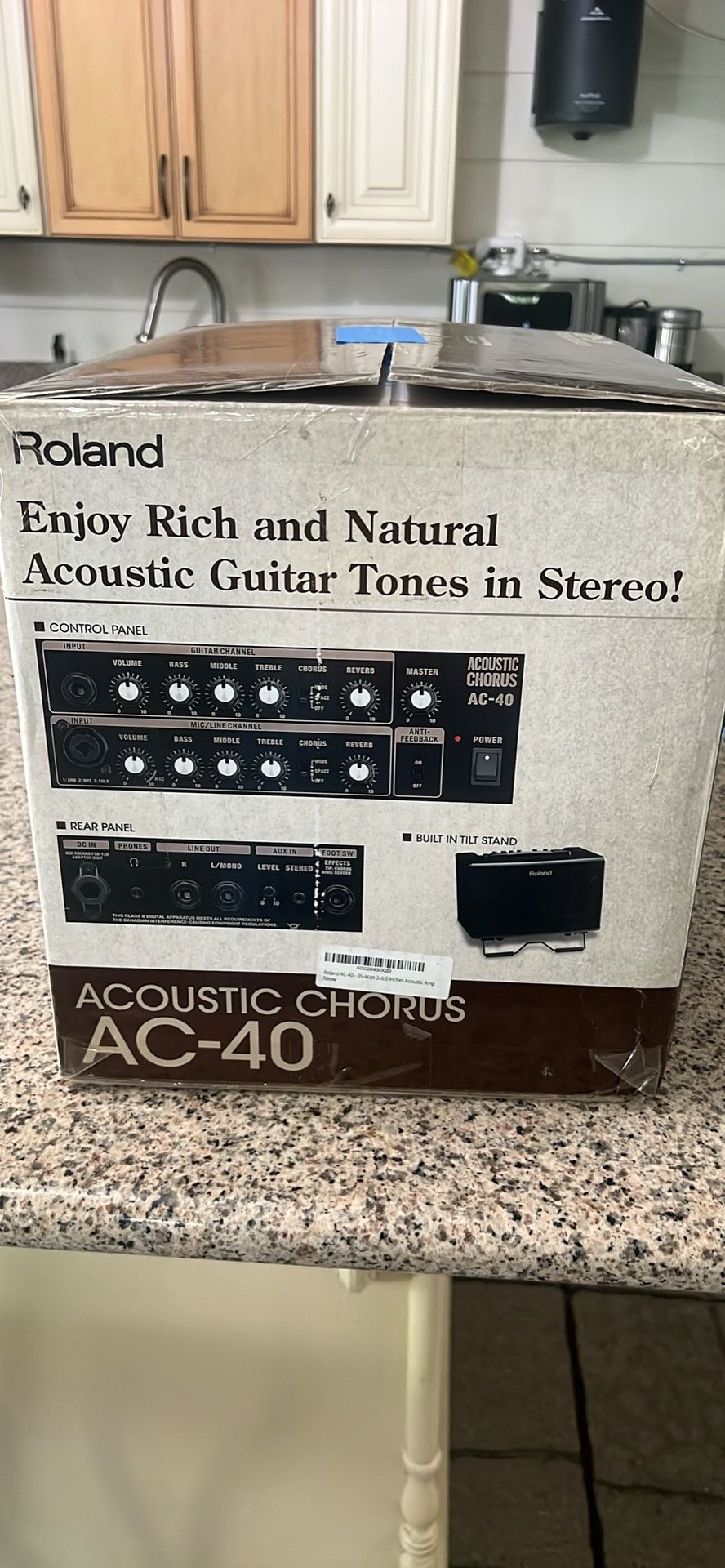 Roland AC-40 Amp