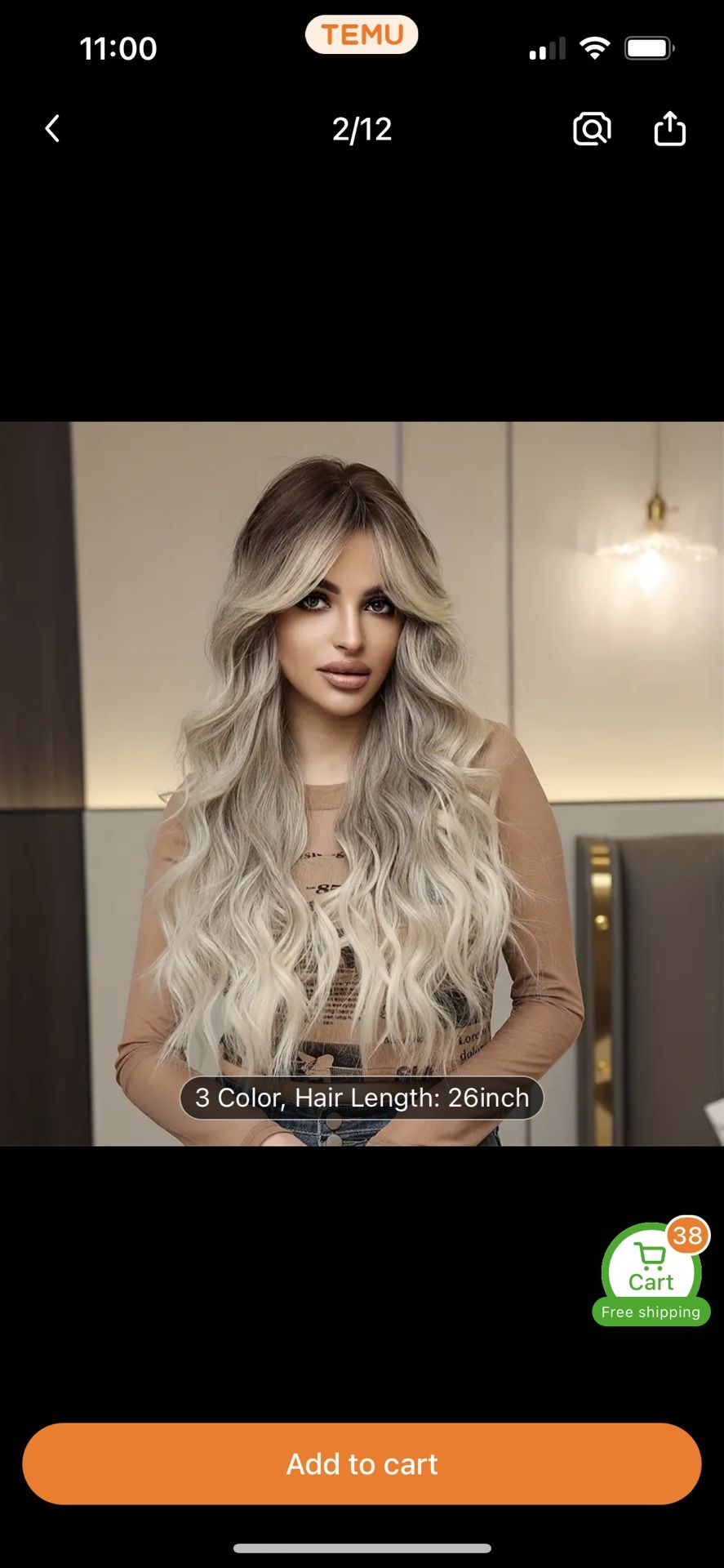 Black and blonde ombre wig