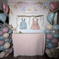 Gender Reveal Backdrop Only!