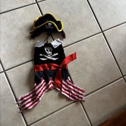 Pet costume