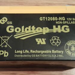 Goldtop HG Long Life Rechargeable Battery