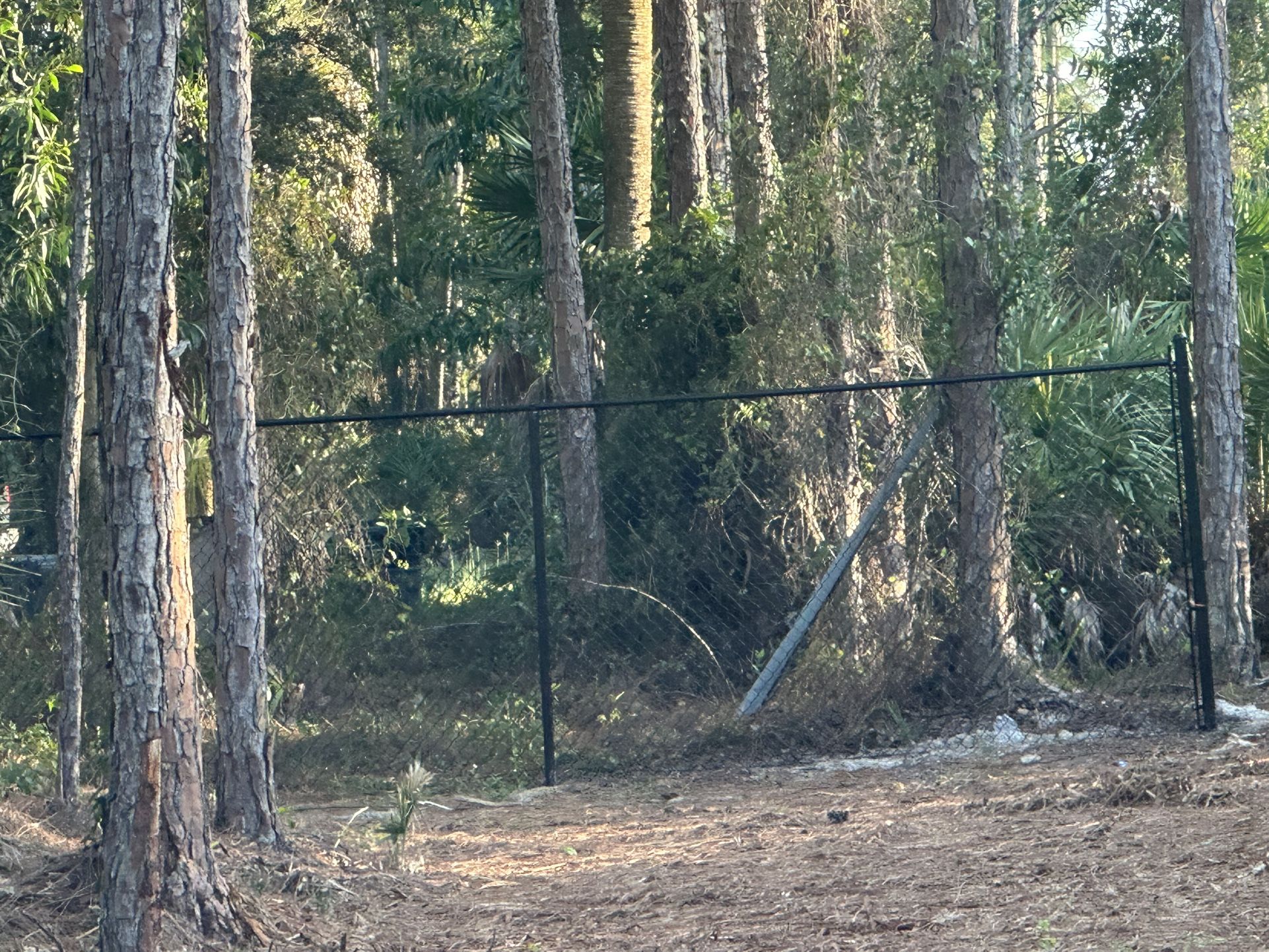 Fence