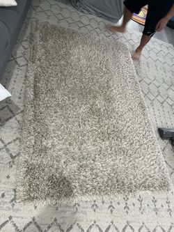 Shaggy Indoor Rug
