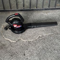 Toro Power Sweep