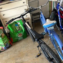 2 Bikes for $40