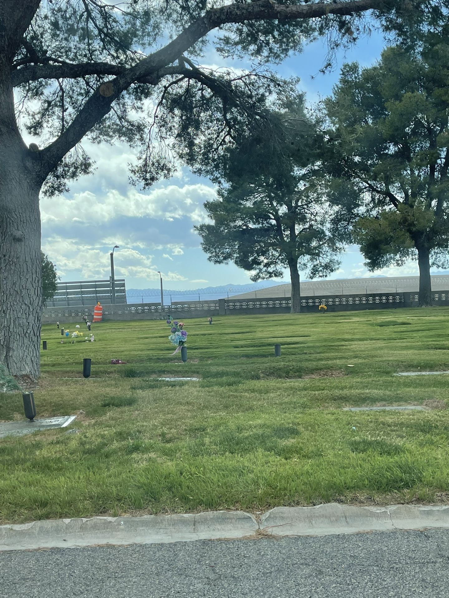 Burial Plot, Davis Memorial Park