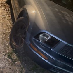 Mustang For Sale 