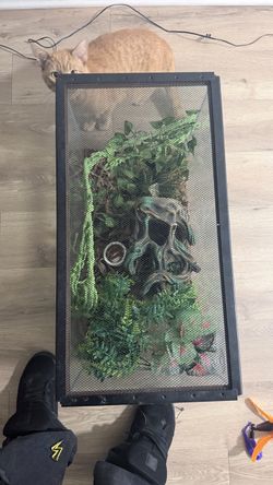 Glass Terrarium Tank