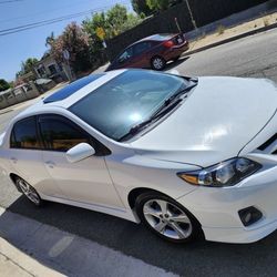 Corolla  And Civic 