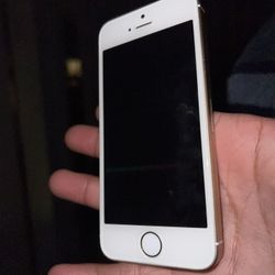 iPhone 5 SE 2016 Series 