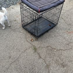 Small Animal Kennel 