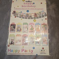 Baby First Year Picture Banner