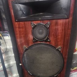 Pro DJ Speaker (300W) & Yamaha Bluetooth Receiver R-S202