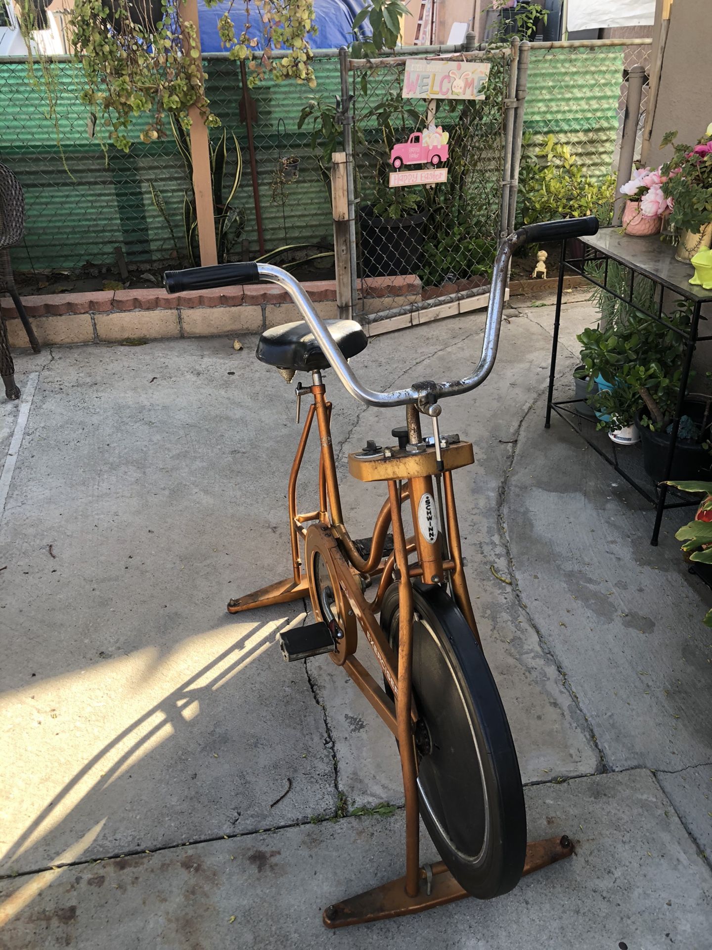 Spinning Bike Schwinn Classic Cruiser Stationary Bike Schwinn