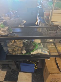 30 × 12 × 12-inch top-opening glass terrarium aquarium