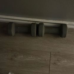 10lbs Dumbbells 