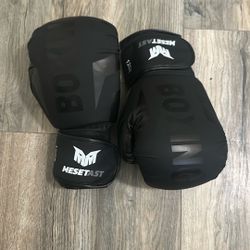 Mestetast Boxing Gloves