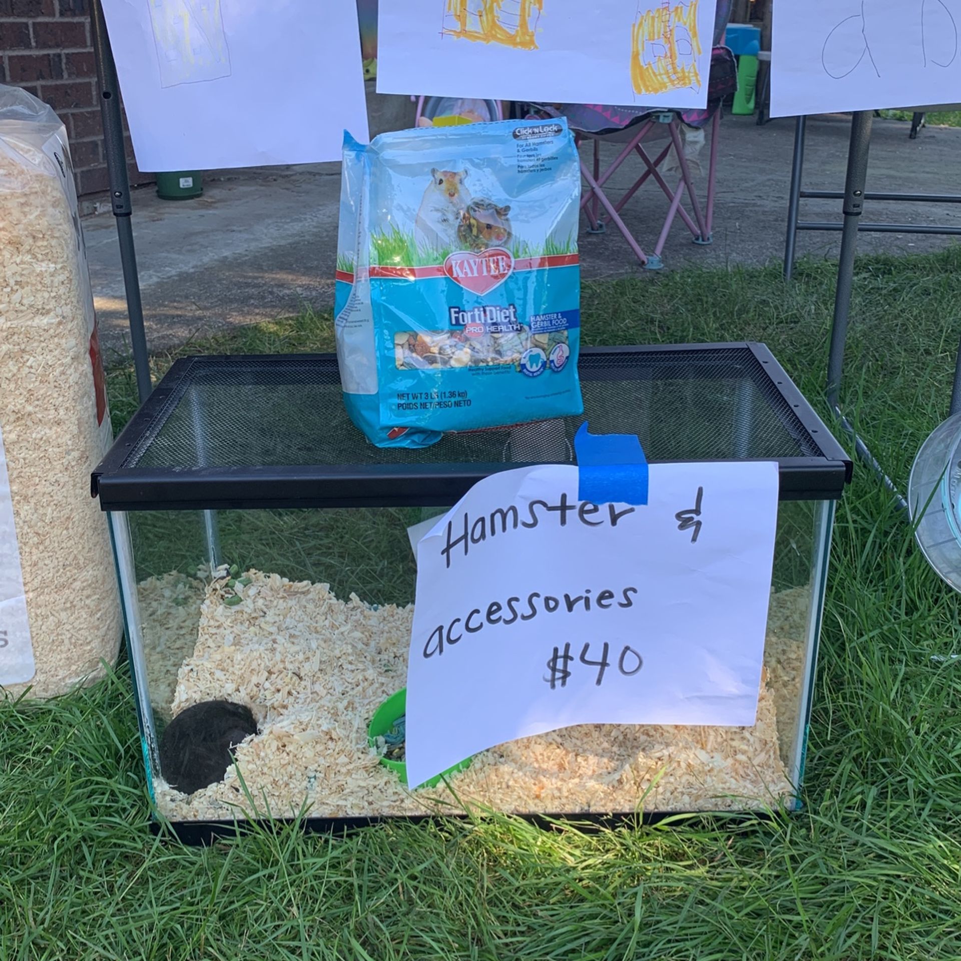 Hamster Accessories