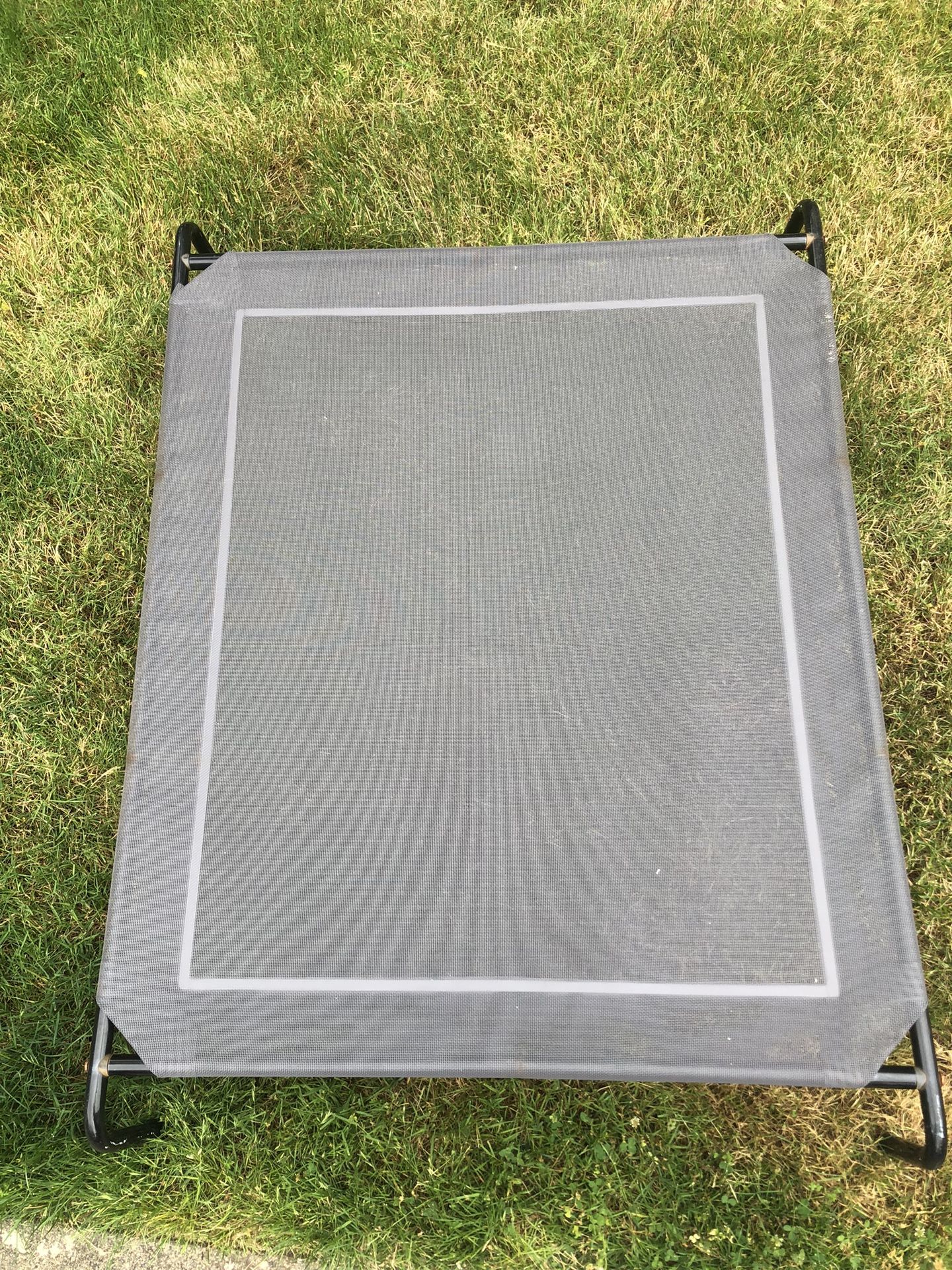 Raised Dog Bed