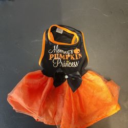 Small Halloween Dog Costume