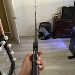 Fishing Rod 