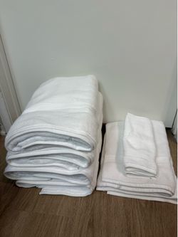 Brand New Pottery Barn Turkish Organic Quick-Dry Towel Set