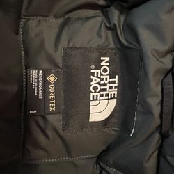 Grey North face 550 parka 