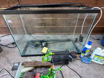 29 gallon fish tank with filter, LED lights, lava rocks, wood, plastic plants, and