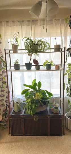 Over bed/ raised shelving unit