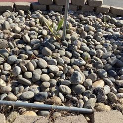 Rocks