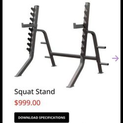 Hudson Steel Gym Squat Stand Rack for Sale in Queens NY OfferUp