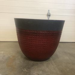 Egg Shaped Flowers Pot