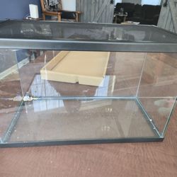 10 Gallon Fish Tank